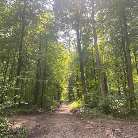 Appartamento Sonnenschein Baden-Baden Esterno foto