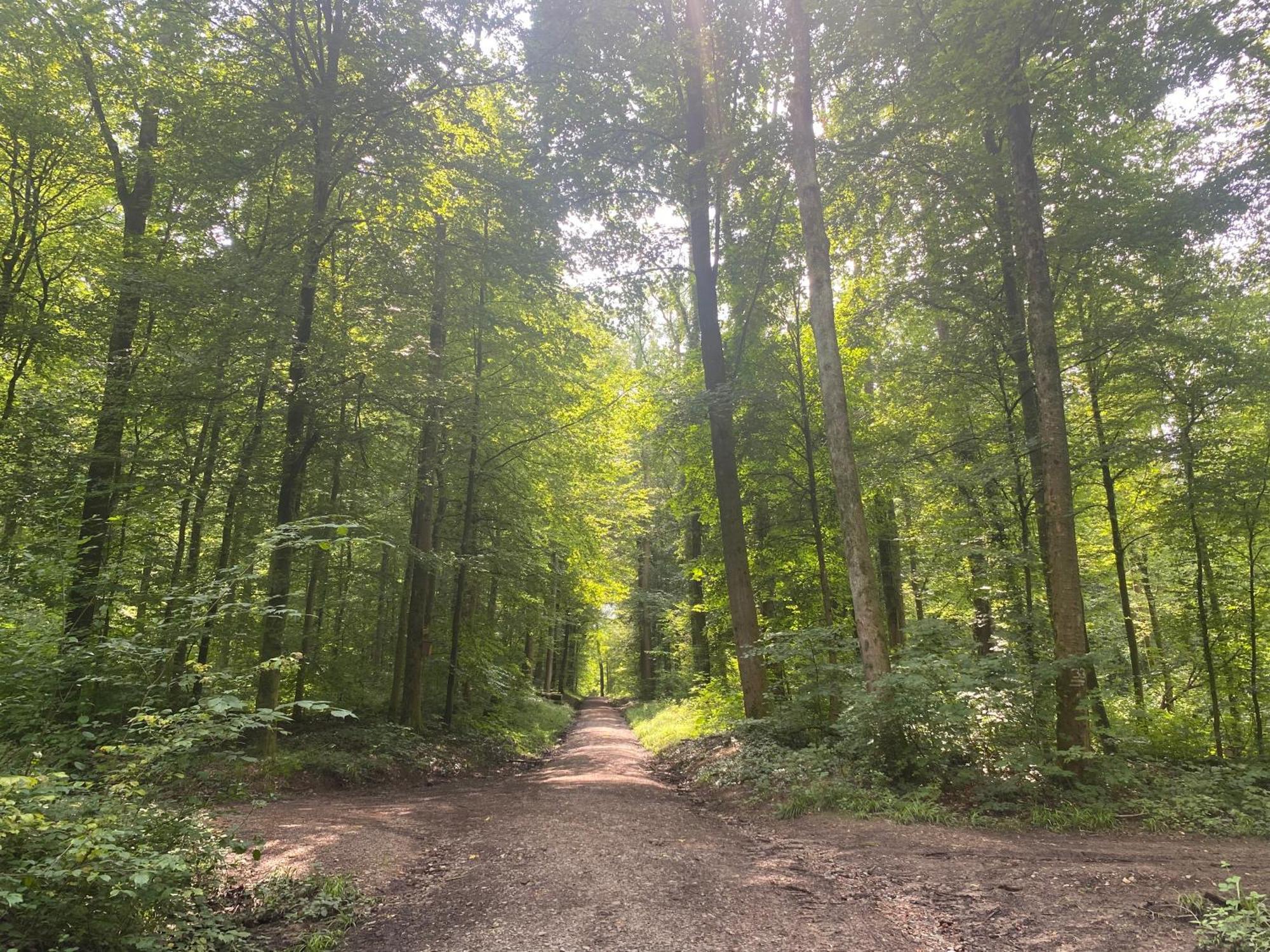 Appartamento Sonnenschein Baden-Baden Esterno foto